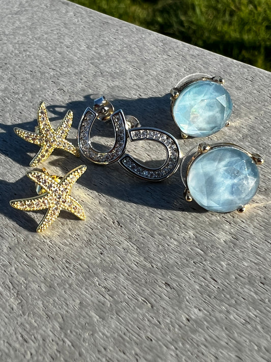 Horse Shoe CZ Earrings