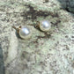Pierced Pearl Earrings